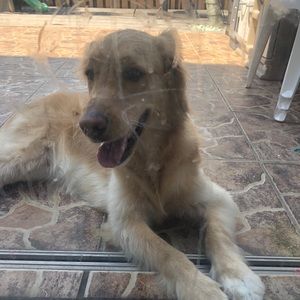 Meet your Posher, Leandro